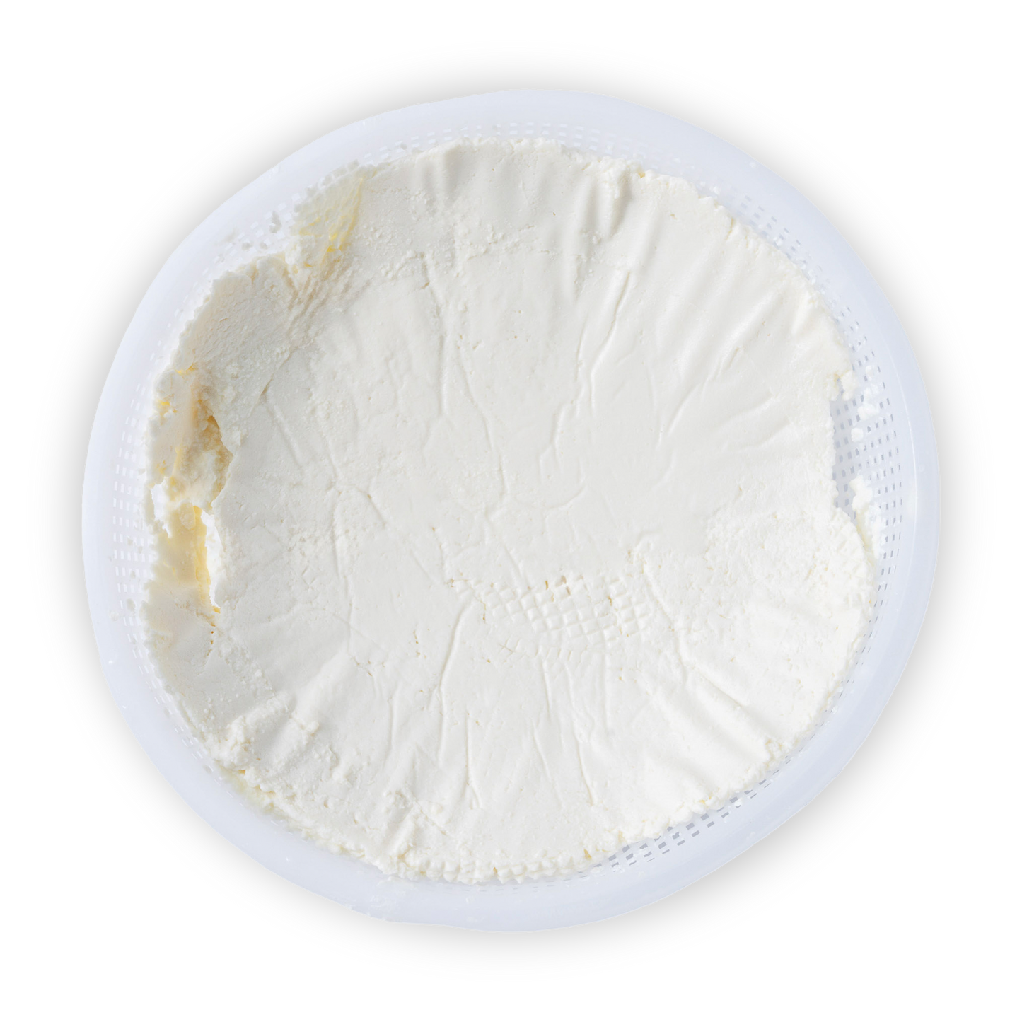 Buffalo Ricotta