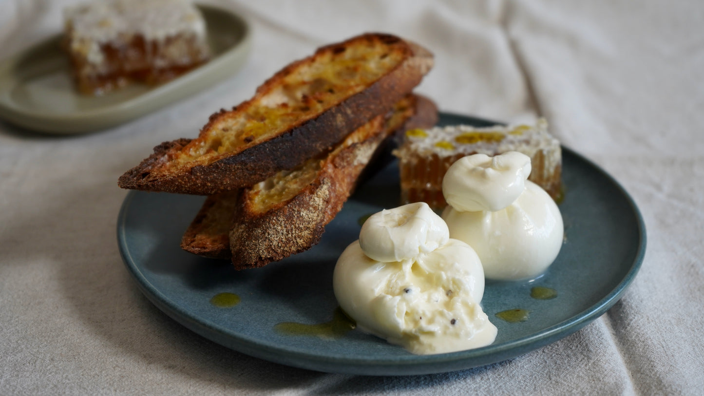 Truffle Burrata