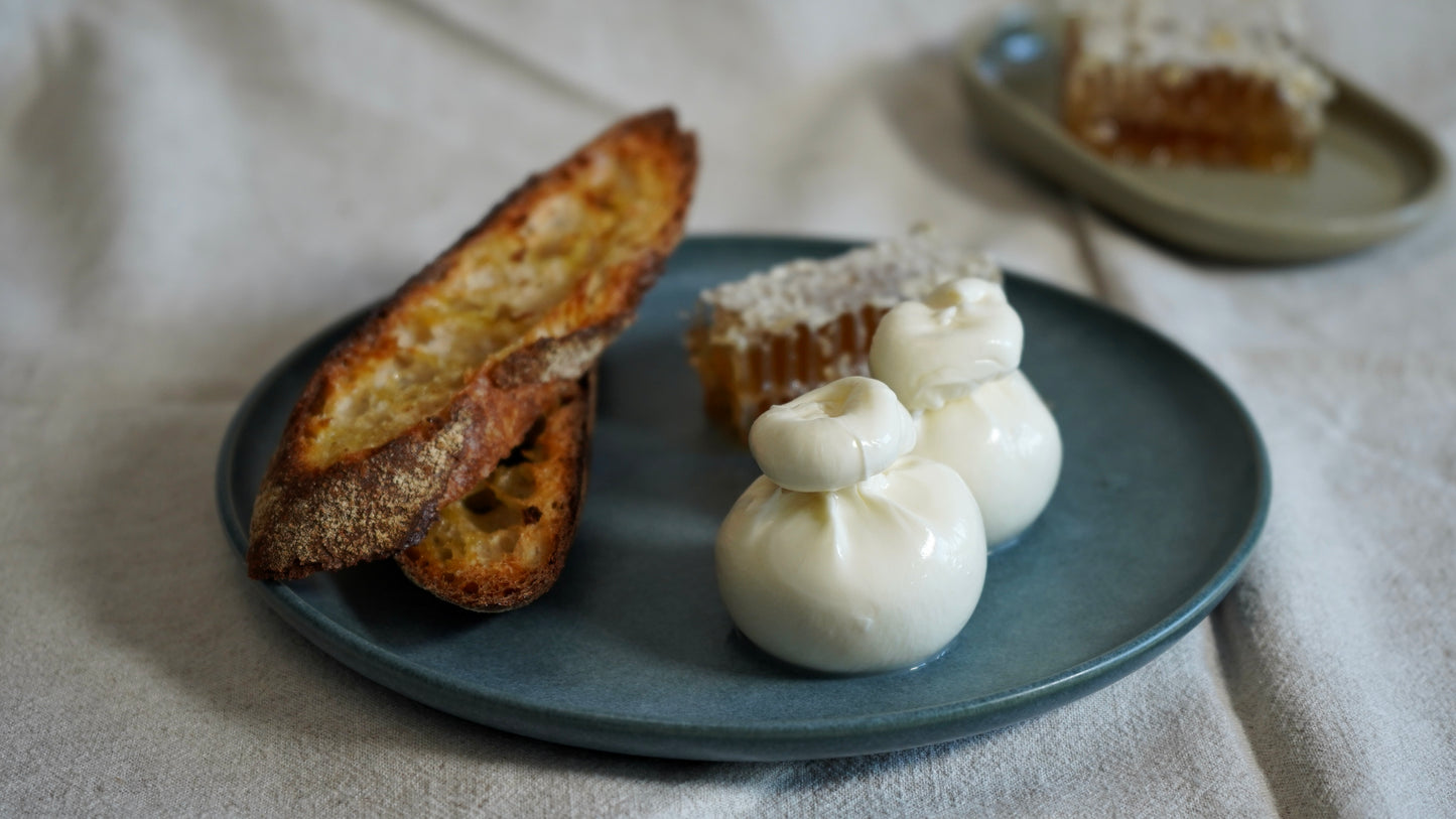 Truffle Burrata